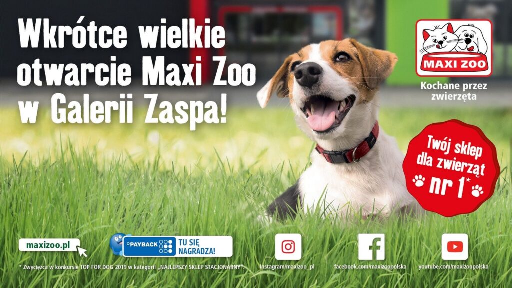 maxizoo_retail_journal