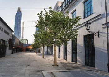 BioBazar wraca do Fabryki Norblina