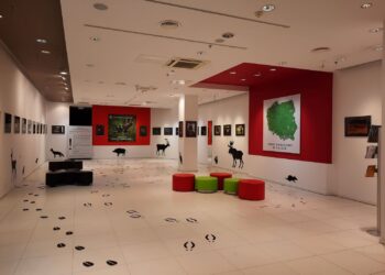 Galeria Łomianki inauguruje współpracę z Kampinoskim Parkiem Narodowym specjalną wystawą
